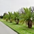 Canary Island Date Palm: 3m 3D model small image 2