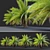 Canary Island Date Palm: 3m 3D model small image 3