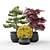 Outdoor Plant Pot Set: Red Dragon Maple, Forsythia & Pine Topiaries 3D model small image 5