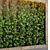 103 Ivy Plant Vertical Garden Wood Vase 3D model small image 3