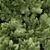 Premium Pine Trees for Gardens 3D model small image 2