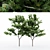 Japanese Maple Tree Collection - 4 Varieties 3D model small image 1