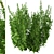 Thriving Trio: Common Nettle Plants 3D model small image 2