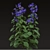 Title: Borago officinalis Starflower Trio 3D model small image 3