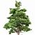 Pine Tree Bundle: High-Res, Professional 3D Models 3D model small image 3