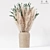 Elegant Indoor Pampas Plant 3D model small image 1