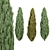 Evergreen Juniper Trees Collection 3D model small image 2