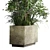 Outdoor Plant Collection: Concrete Vase, Tree Fern, Bamboo 3D model small image 5