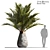 Tropical Palm Tree 3D Model 3D model small image 1
