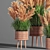 Pampas Indoor Plant Set 3D model small image 4