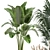 Exotic Plant Collection: Decorative Reeds, Banana Palm & More 3D model small image 4