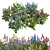 Lupinus 2013: High-Quality 3D Plant Model 3D model small image 1