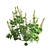 Lupinus 2013: High-Quality 3D Plant Model 3D model small image 5