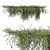 Rosemary Creeping: Versatile 2013 Plant 3D model small image 1