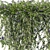 Rosemary Creeping: Versatile 2013 Plant 3D model small image 2