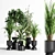 Indoor Plant Set 01Z: Beautiful and Versatile 3D model small image 1