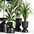 Indoor Plant Set 01Z: Beautiful and Versatile 3D model small image 3