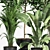 Indoor Plant Set 01Z: Beautiful and Versatile 3D model small image 5