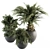 Indoor Oasis: 277 Plant Set 3D model small image 1