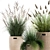 Exotic Plant Collection: Decorative Grasses & Reeds in Rattan Baskets - Perfect for Indoor and Outdoor Décor 3D model small image 2