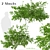 Thorny Delight: Bramble Plant Duo 3D model small image 5