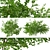 Thorny Delight: Bramble Plant Duo 3D model small image 3