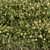 Lush Green Grass Set 3D model small image 1