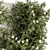 Outdoor Ivy Wall Plant Set 3D model small image 2