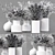 Stunning Collaction Indoor Plants 3D model small image 4