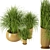 Assorted Indoor Plants Set 3D model small image 5