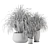 Assorted Indoor Plants Set 3D model small image 6