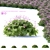 Geranium Macrorrhizum Bushes - Various Sizes & Textures 3D model small image 1