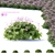 Geranium Macrorrhizum Bushes - Various Sizes & Textures 3D model small image 5