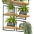 Rustic Indoor Plants Set 3D model small image 4