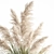 Exotic Plant Collection: Decorative Plants for Indoor and Outdoor Spaces 3D model small image 2