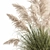 Exotic Plant Collection: Decorative Plants for Indoor and Outdoor Spaces 3D model small image 3