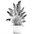 Exotic Plant Collection: Decorative Plants for Indoor and Outdoor Spaces 3D model small image 7
