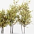 Elegant 3D Tree for Stunning Renders 3D model small image 3