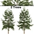 Japanese Larch Tree Duo 3D model small image 1