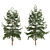 Japanese Larch Tree Duo 3D model small image 4