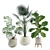 Tropical Indoor Plant Set 3D model small image 1