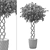 Botanical Oasis: Set of 5 Plants 3D model small image 2