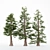 5 Different Western Red Cedar Trees 3D model small image 2