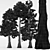 5 Different Western Red Cedar Trees 3D model small image 4