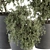 275 Outdoor Plants - Concrete Pot 3D model small image 3