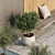 Lush Backyard Landscape with Plant 3D model small image 2