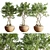 52-Piece Indoor Plant Set: Stunning 3D Models & Multiple Formats 3D model small image 1