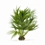 Sabal Palmetto: Versatile Cabbage Palm 3D model small image 4