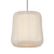 Elegant Penny Pendant Lamp Shade 3D model small image 1