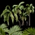 Tropical Majesty: Queen Palm Set 3D model small image 1